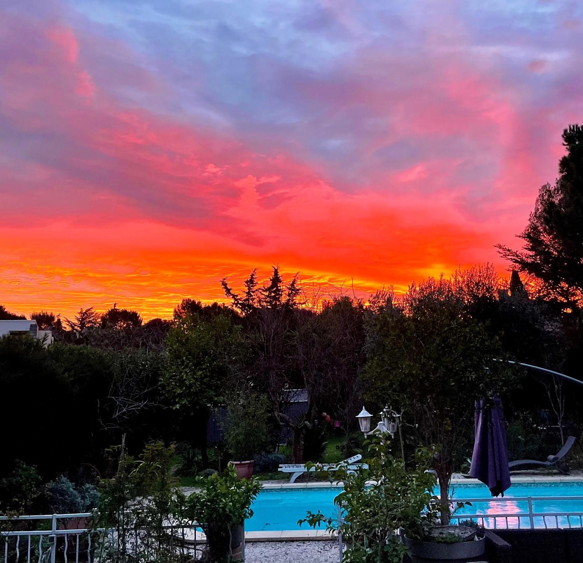Les Pinsons Daire La Ciotat Dış mekan fotoğraf