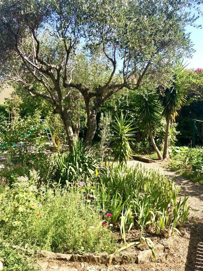Les Pinsons Daire La Ciotat Dış mekan fotoğraf